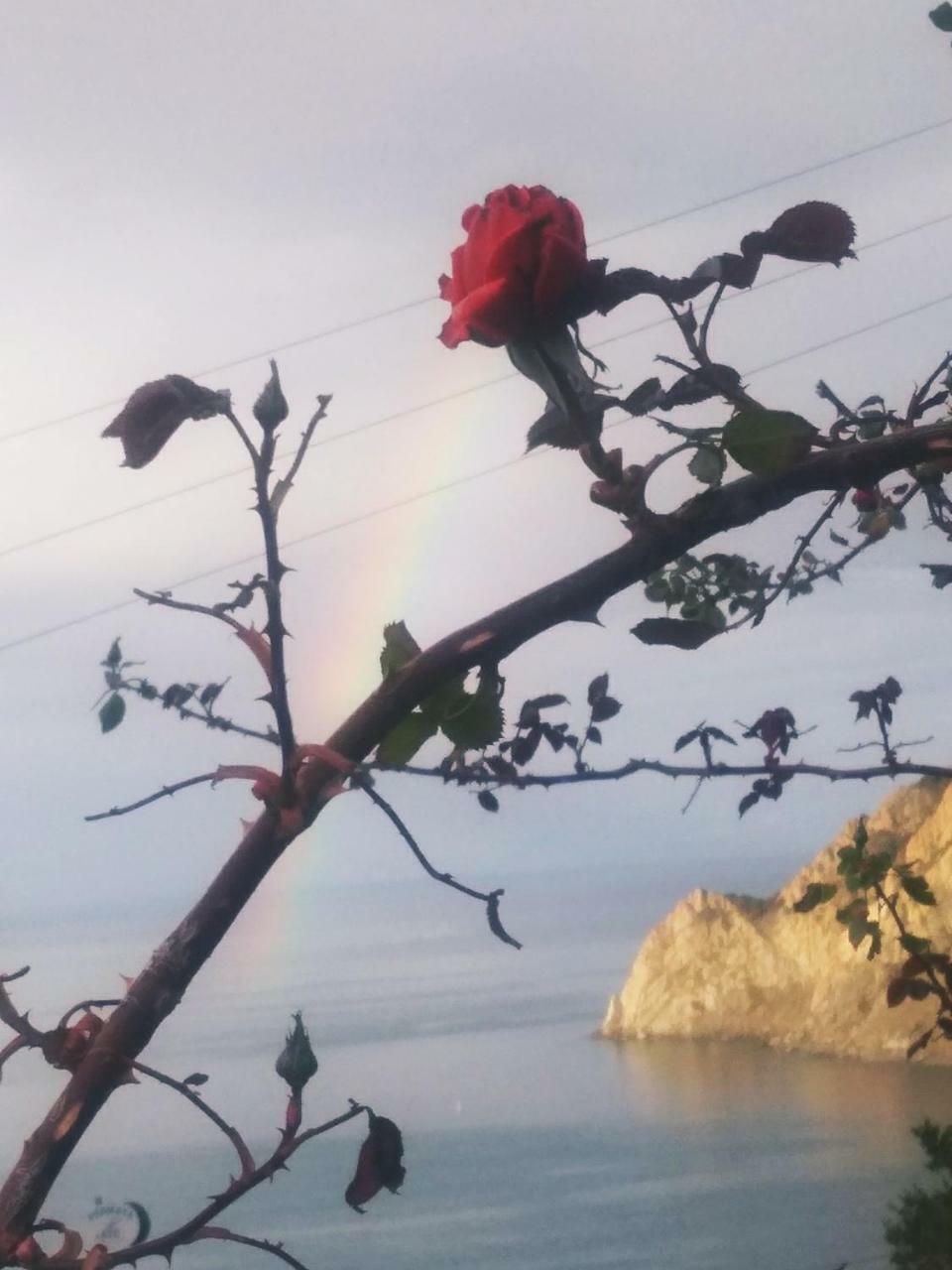 מונטרוסו אל מארה La Serra Sul Mare מראה חיצוני תמונה