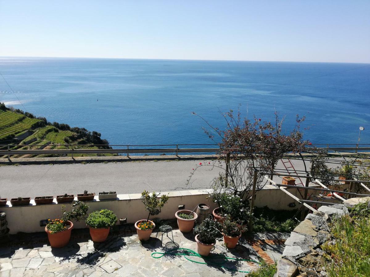 מונטרוסו אל מארה La Serra Sul Mare מראה חיצוני תמונה